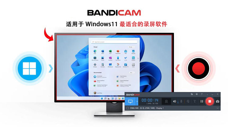Bandicam录屏大师