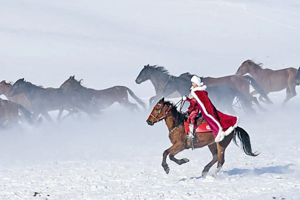 贺娇龙坠马身亡的细节-可汗博客